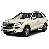 M Class