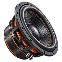 10" Subwoofers (25cm)