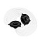 BLAM BL-BM100NC Coaxial Speakers BL-BM100NC