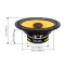 SFK-NIS1-RCX65