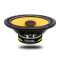 SFK-REN1-RCX165
