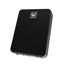 Phoenix Gold ZB8P 8" Ultra Compact Active Bass Subwoofer Enclosure Phoenix Gold ZB8P 8" Ultra Compact Active Bass Subwoofer Enclosure