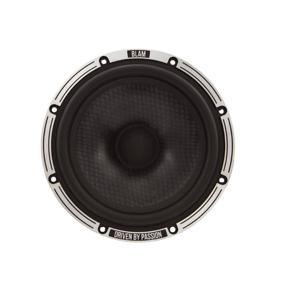 BLAM BL-L165-A Speakers BL-L165-A