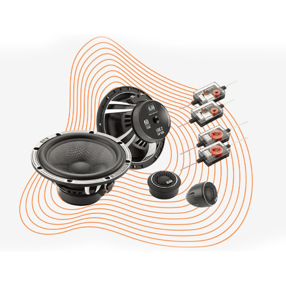 BLAM BL-L165-A Speakers BL-L165-A