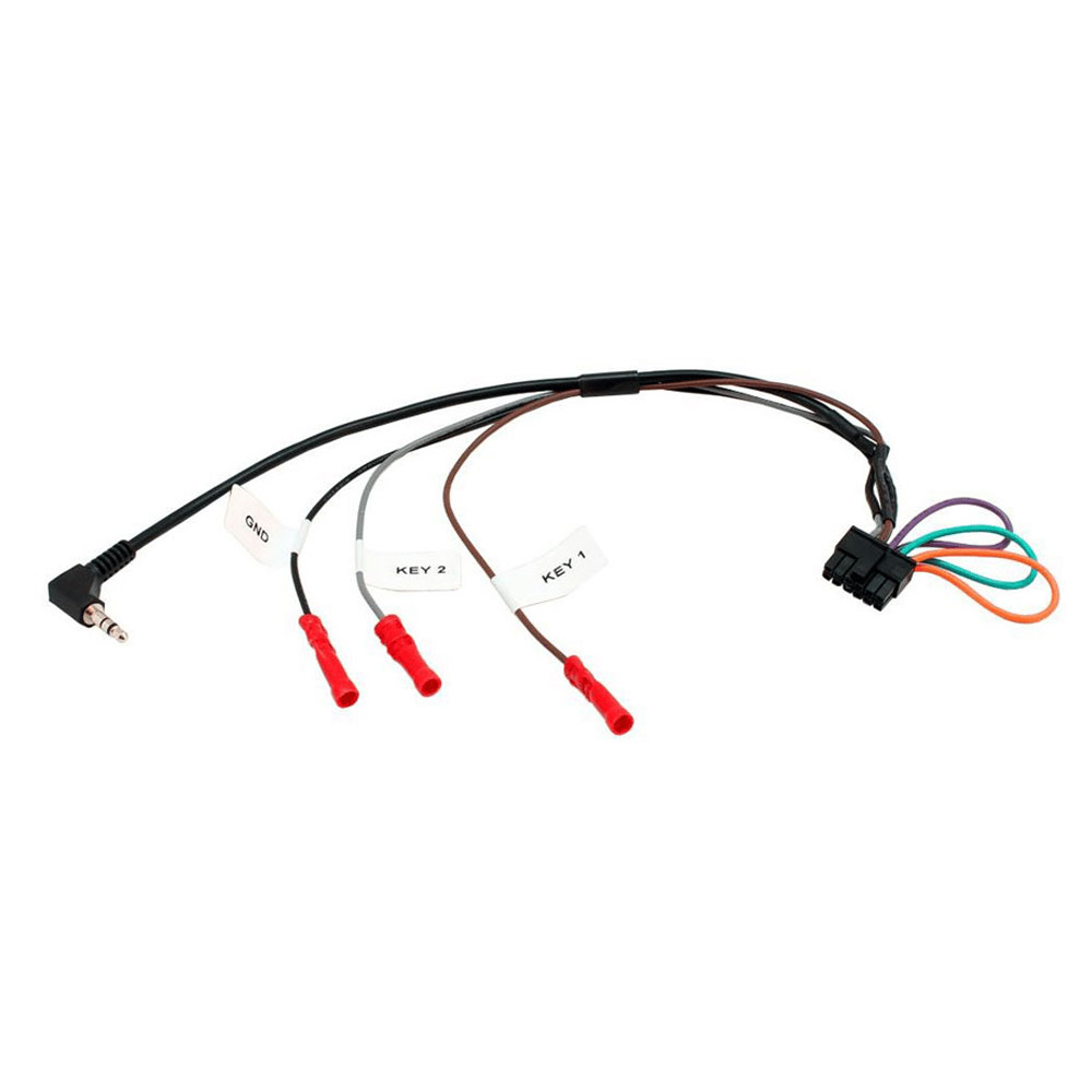 InCarTec PF-166-3 Ford PF-166-3