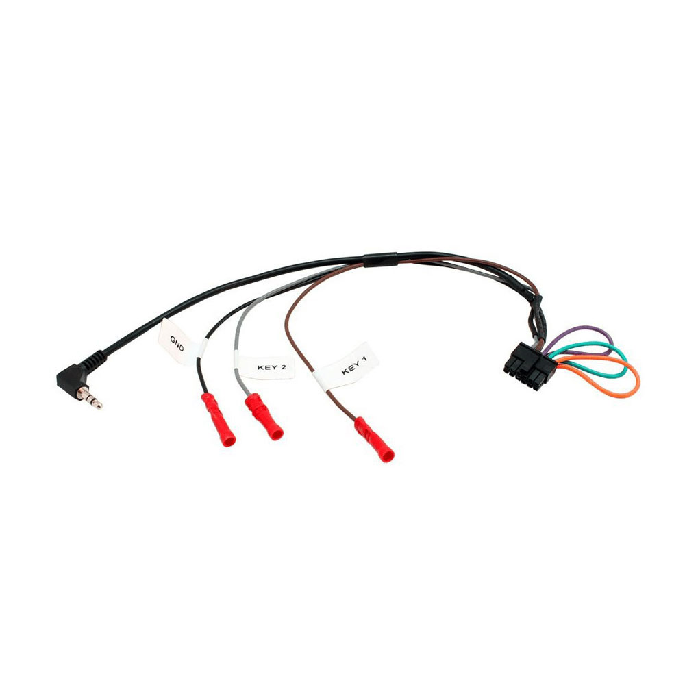 InCarTec PF-166-4 Ford PF-166-4