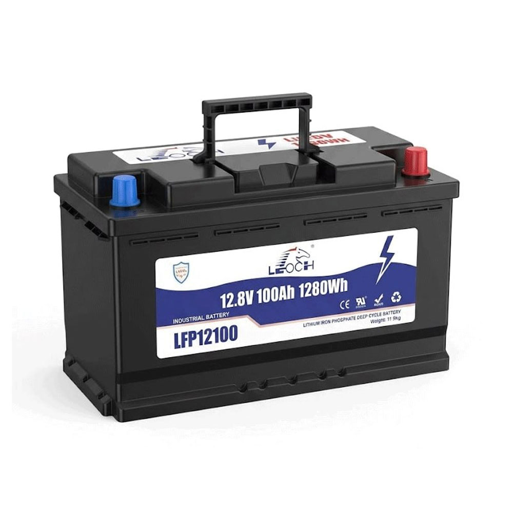 LEOCH LFP12100 Battery Charger LFP12100
