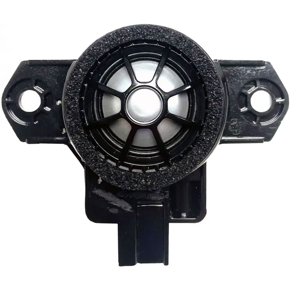 ZDSV1