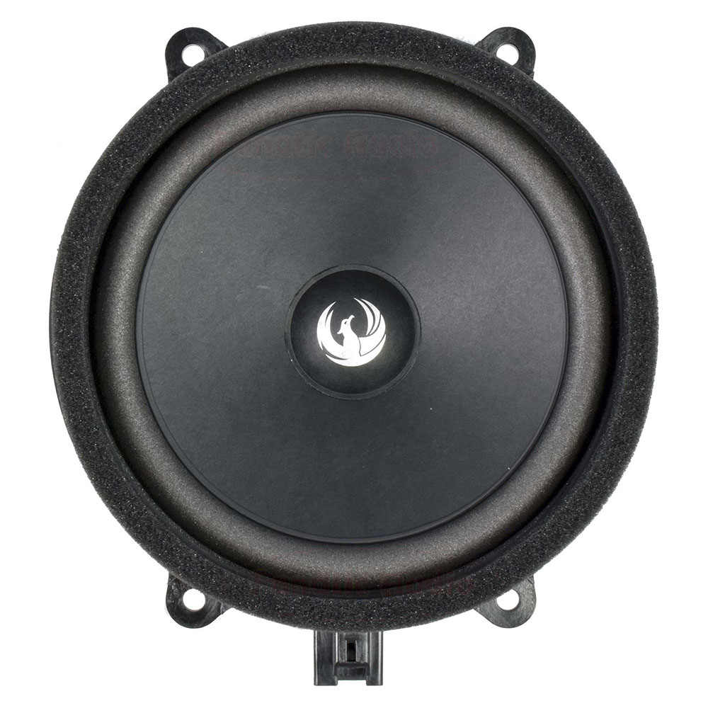 ZDSV1