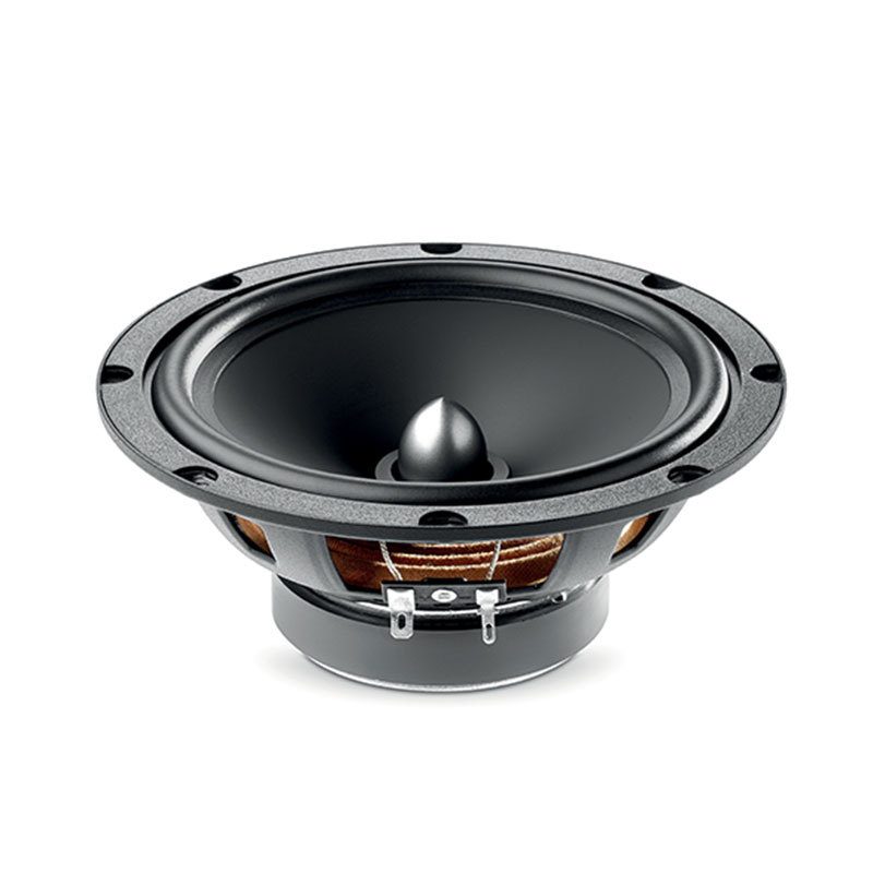 Focal ASE 165 + RKXSK 6.5 inch (17 cm) ASE 165 + RKXSK