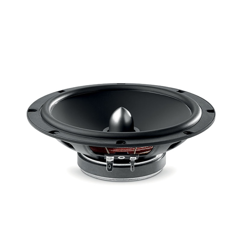 Focal ASE 165 S + CT25BM05 + RKXSK 6.5 inch (17 cm) ASE 165 S + CT25BM05 + RKXSK