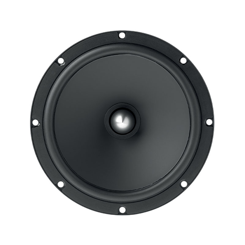 Focal ASE 165 S + CT25BM05 + RKXSK 6.5 inch (17 cm) ASE 165 S + CT25BM05 + RKXSK