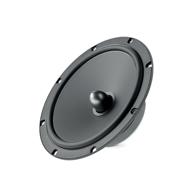 Focal ASE 165 S + CT25BM05 + RKXSK 6.5 inch (17 cm) ASE 165 S + CT25BM05 + RKXSK
