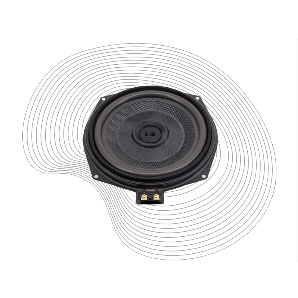 BLAM BL-BM200WN 8" Subwoofers (20cm) BL-BM200WN