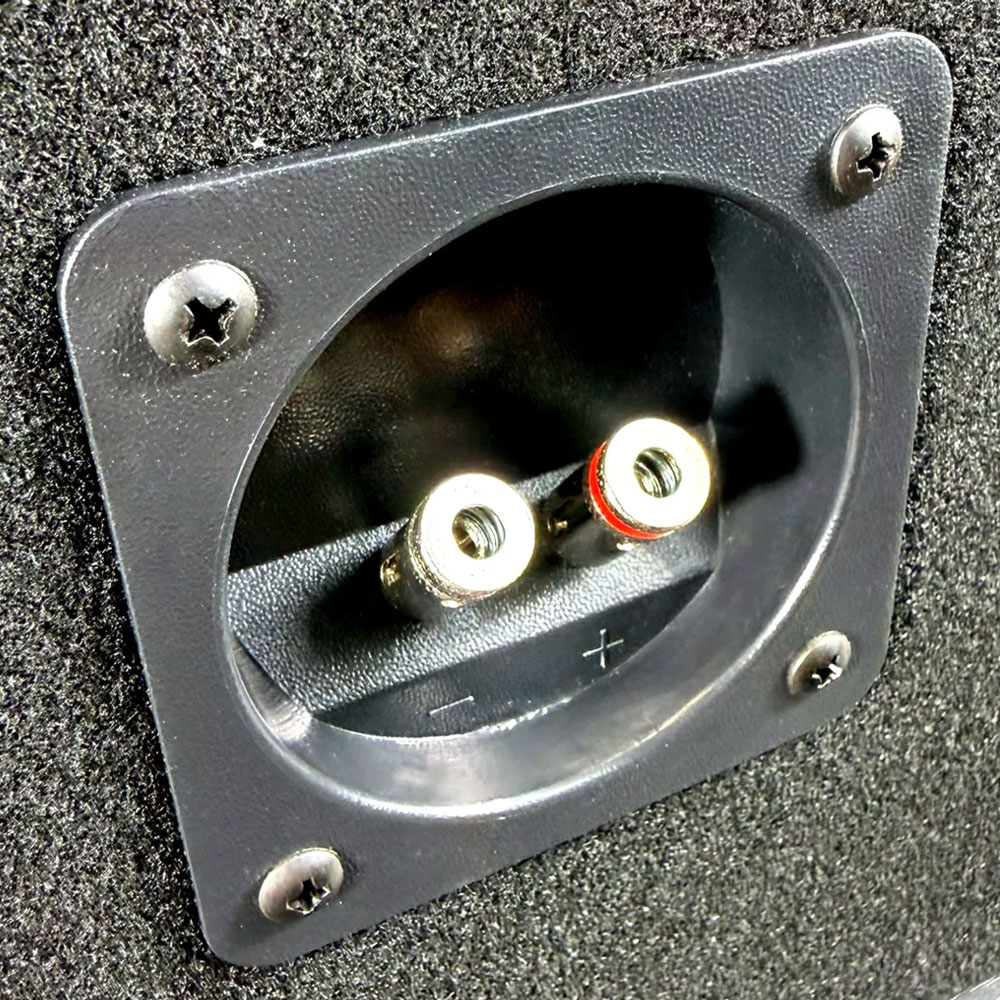 Dynamic Sounds 15SUBP Subwoofer Enclosure Bass Box 15SUBP
