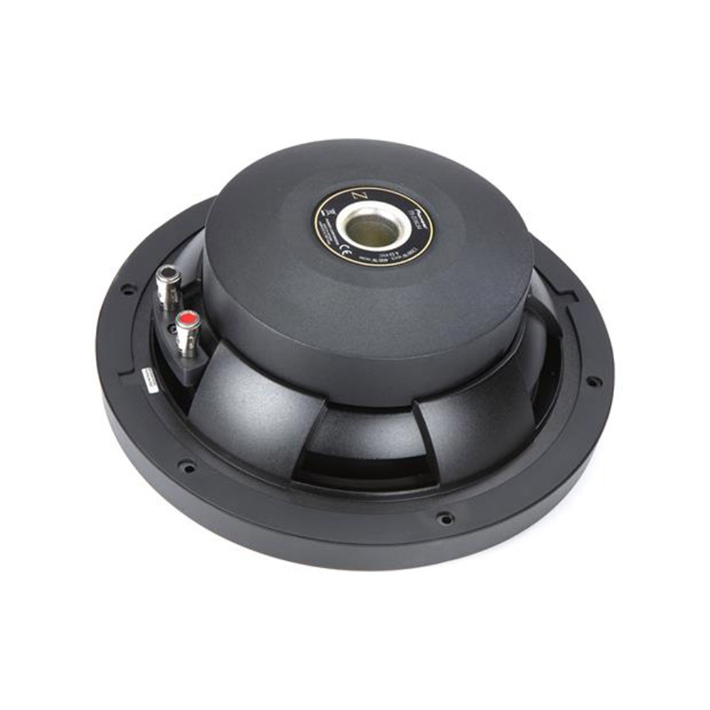 Pioneer TS-Z10LS4 10" Subwoofers (25cm) TS-Z10LS4